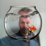  ,   , 46 ,   ,   , c 