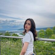 ���������� �����, ������