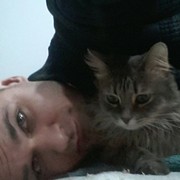 ���������� ����, ���� ������� ��������, 40 ���, ������������ ��� ������, ����� � ���������, c�������� ���������