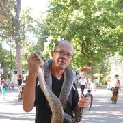 ���������� ������-��-����, ���� ������� �����, 52 ����, ������������ ��� ������, ����� � ���������