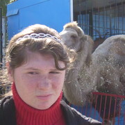 ���������� �����������, ���� ������� ���������, 32 ����, ������������ ��� ������, ����� � ���������, c�������� ���������, ���������