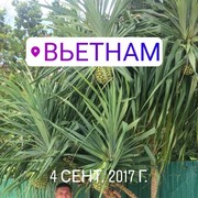 ���������� ����������, ���� ������� ���������, 42 ����, ������������ ��� ������, ����� � ���������, c�������� ���������