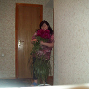  ,   , 43 ,  