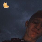  -,  , 22