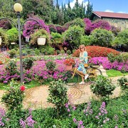 ���������� �����������, ���� ������� ����, 54 ����, ������������ ��� ������, ����� � ���������, c�������� ���������, ���������