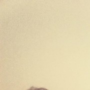  ,   Giorgi, 29 ,   ,   , c 