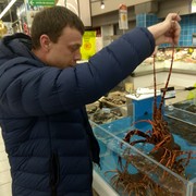 ���������� ����������, ���� ������� �������, 43 ����, ������������ ��� ������