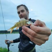 ���������� ������������, ���� ������� �������, 31 ���, ������������ ��� ������, ����� � ���������