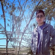 ���������� ���������, ���� ������� �������, 29 ���, ������������ ��� ������, ����� � ���������