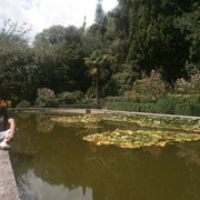 ���������� �������, ���� ������� ���������, 43 ����, ������������ 