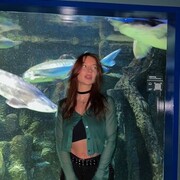 ���������� ������, ���� ������� �����, 33 ����, ������������ ��� ������, ����� � ���������, c�������� ���������