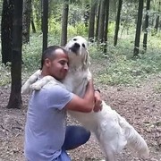  ,   Sezgin, 44 ,   ,   , c 