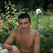  ,   Vasile, 33 ,   