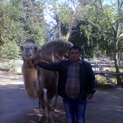  ,   , 46 ,   ,   , c 