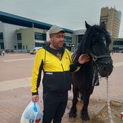 ���������� ������, ���� ������� ����, 43 ����, ������������ ��� ������, ����� � ���������, c�������� ���������, ���������