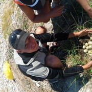 ���������� �������, ���� ������� ����, 35 ���, ������������ ��� ������, ����� � ���������, c�������� ���������