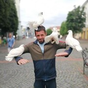  ,   , 46 ,   ,   