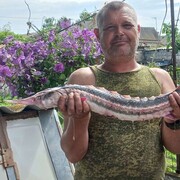  ,   , 45 ,   ,   , c 