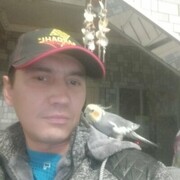 ���������� ������, ���� ������� ������, 40 ���, ������������ ��� ������, ����� � ���������