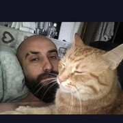  -,   , 35 ,   ,   , c , 