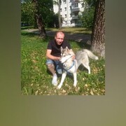  ,   , 41 ,   ,   , c 