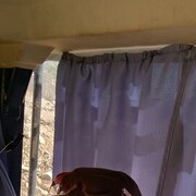  ,   , 51 ,   ,   , c 