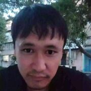  ,   Anvar, 36 ,   ,   