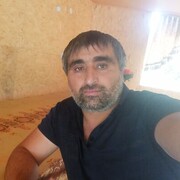  ,  , 43