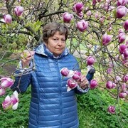 ���������� ����, ���� ������� �������, 64 ����, ������������ ��� c�������� ���������