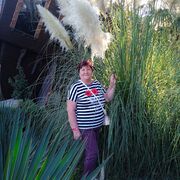 ���������� ����������, ���� ������� ����, 68 ���, ������������ ��� c�������� ���������