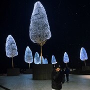 ���������� ����, ���� ������� ����, 27 ���, ������������ ��� ������, ����� � ���������