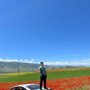 ���������� ������, ���� ������� ���������, 28 ���, ������������ ��� ������, ����� � ���������