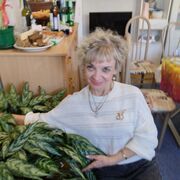 ���������� ����, ���� ������� �������, 55 ���, ������������ 