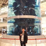 ���������� ������, ���� ������� ������, 35 ���, ������������ ��� ������, ����� � ���������