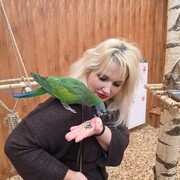 ���������� ������, ���� ������� ������, 48 ���, ������������ ��� c�������� ���������