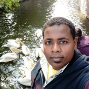 ���������� ������, ���� ������� Ahmed, 33 ����, ������������ ��� ������, ����� � ���������