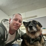  ,   , 41 ,   ,   , c , 