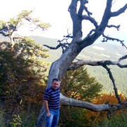 ���������� ������, ���� ������� �����, 44 ����, ������������ ��� ����� � ���������, c�������� ���������, ���������