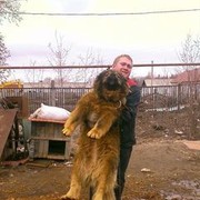  ,   Bundolf, 36 ,   ,   , c 