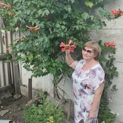  ,  Natalija, 66