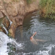 ���������� �����������, ���� ������� ����, 47 ���, ������������ ��� ������, ����� � ���������, c�������� ���������