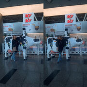  ,   Eleonora, 36 ,   ,   