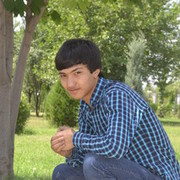  ,   Alisher, 33 ,   ,   , c 
