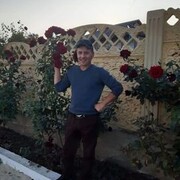  ,   , 50 ,   ,   
