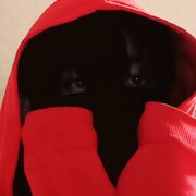 ���������� ���������, ���� ����� Zoro, 21 ���, ������������ ��� ������, ����� � ���������