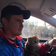 ���������� ���������, ���� ������� ��������, 37 ���, ������������ ��� ������, ����� � ���������, ���������