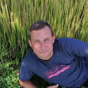 ���������� ����-��������, ������� ���������, 45