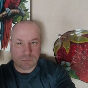 ���������� �����, ���� ������� �������, 41 ���, ������������ ��� c�������� ���������