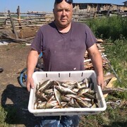 ���������� ����, ���� ������� �������, 49 ���, ������������ ��� ������, ����� � ���������