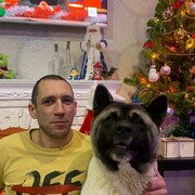 ���������� �����-���������, ���� ������� ������, 40 ���, ������������ ��� ����� � ���������, c�������� ���������